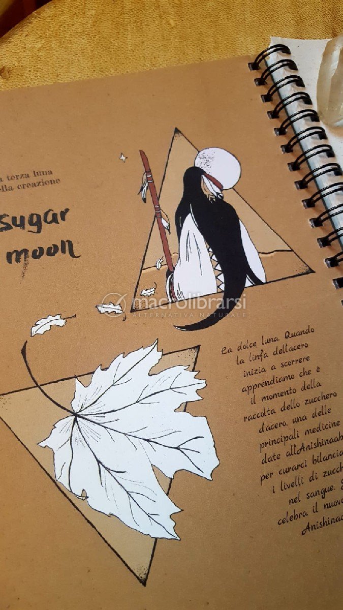 Calendario Lunare Delle Semine Orto 2022 2023