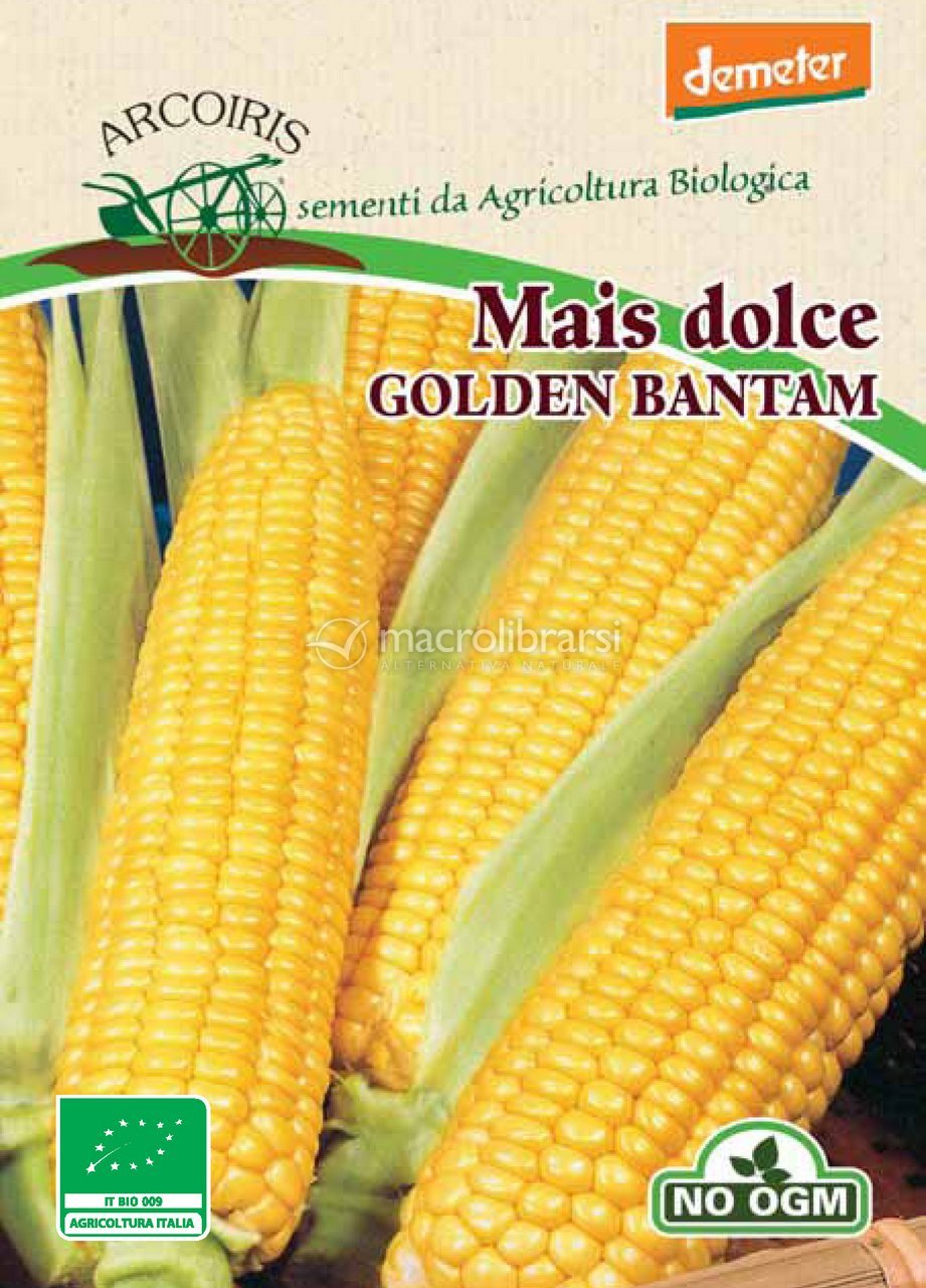 Semi Di Mais Dolce Golden Bantam Batlle - Confezione Da 10g, Per Orto E Giardino - Foto 13