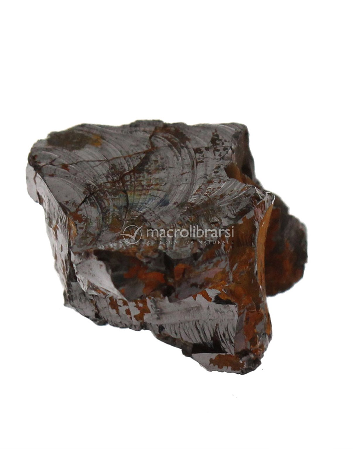 1 Pietra di Shungite Elite di Shungite International 