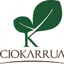 Ciokarrua