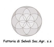 Fattoria di Selvoli