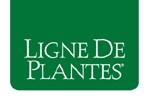 Ligne De Plantes