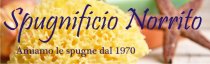 Mediterranea Sea Sponge