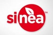 Sinea