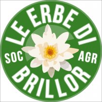 Le erbe di Brillor