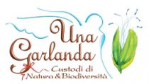 Una Garlanda