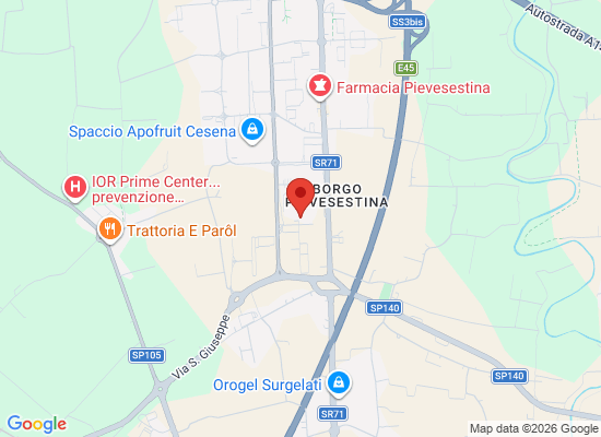Apri su Google Maps