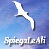 SpiegaLeAli SOSPESO PER INATTIVITA AZ