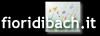 Fioridibach.it