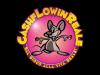 Cashflowinreale.com