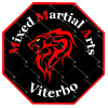 mmakravmagaviterbo.com