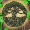facebook.com/fidalmabio
