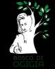 boscodiogigia.it