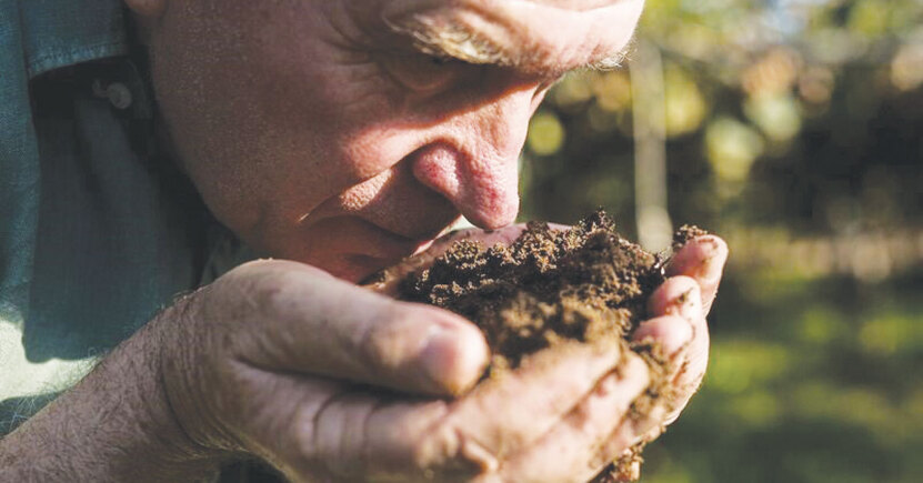100 anni di agricoltura biodinamica