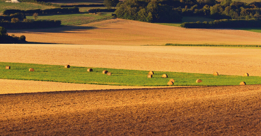 Come utilizzare i microrganismi effettivi (EM) nell'orto in inverno