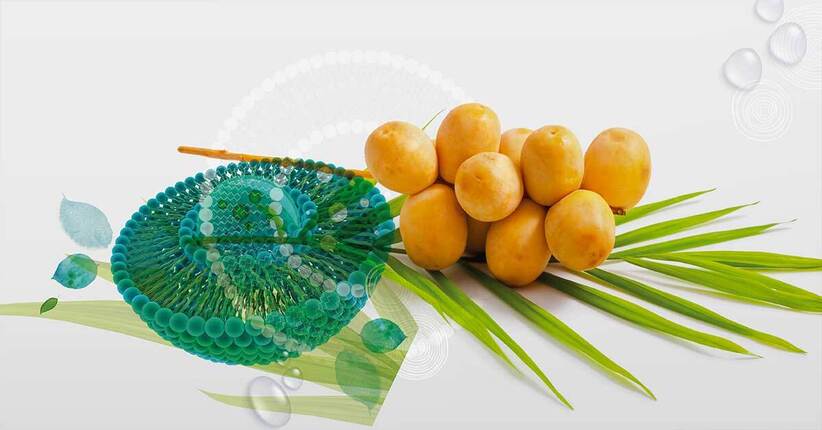 Biocosmesi d’avanguardia, i principi attivi che apportano maggiori benefici alla pelle