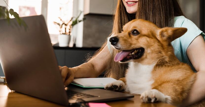 Cane sul posto di lavoro: pro e contro