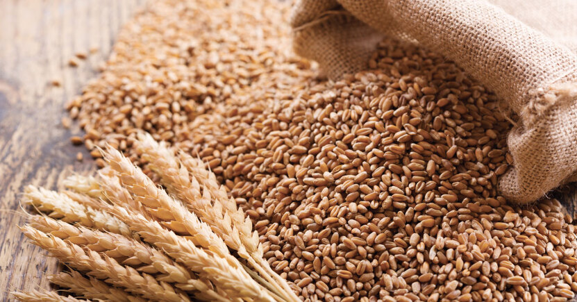 Cereali antichi  sai davvero quali sono?