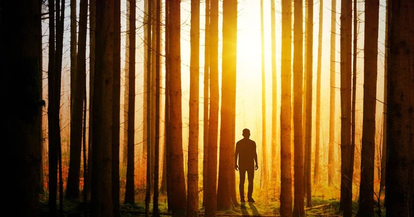 Chi sono gli invisibili Custodi della Natura? E come possiamo comunicare con loro?