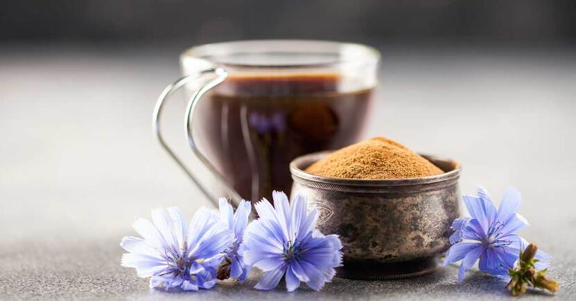 Cicoria, Orzo e Caffè Verde: le pregiate alternative salutari al caffè