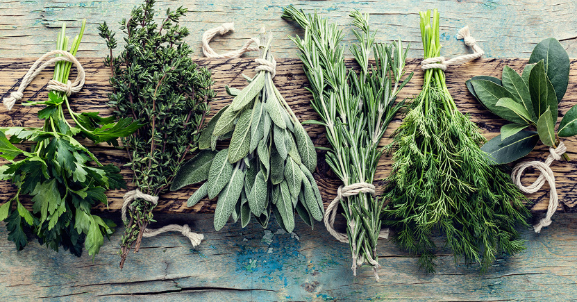 Come conservare le erbe aromatiche per l'inverno