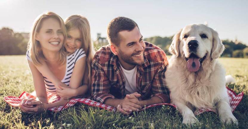 Costellazioni Sistemico Familiari con gli animali: perché farne una?