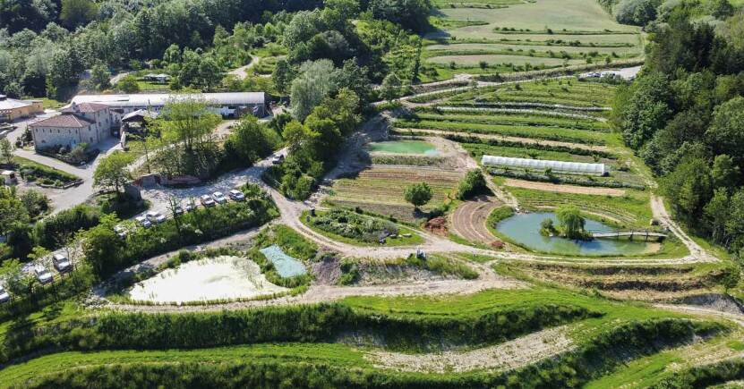 Autosufficienza idrica con la permacultura alla Fattoria dell'Autosufficienza