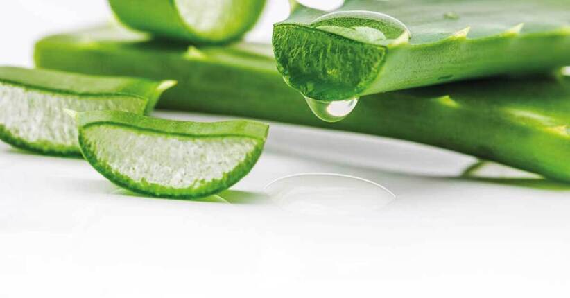 Disintossicati con l'aloe