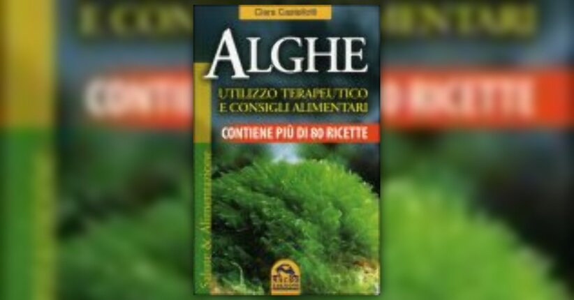 Due semplici e gustose ricette con le alghe!