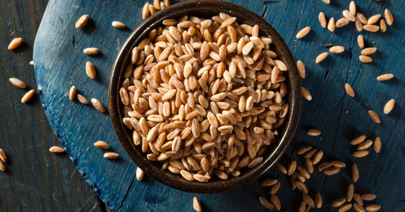 Farro: 3 ricette per tutti i gusti