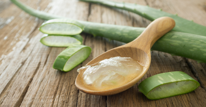 Gel d'Aloe Vera? Fermentato è di più