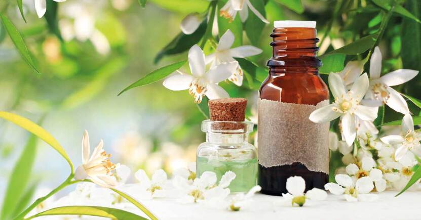 Ansia e insonnia: i 2 oli essenziali più efficaci da avere sempre nel tuo pronto soccorso naturale
