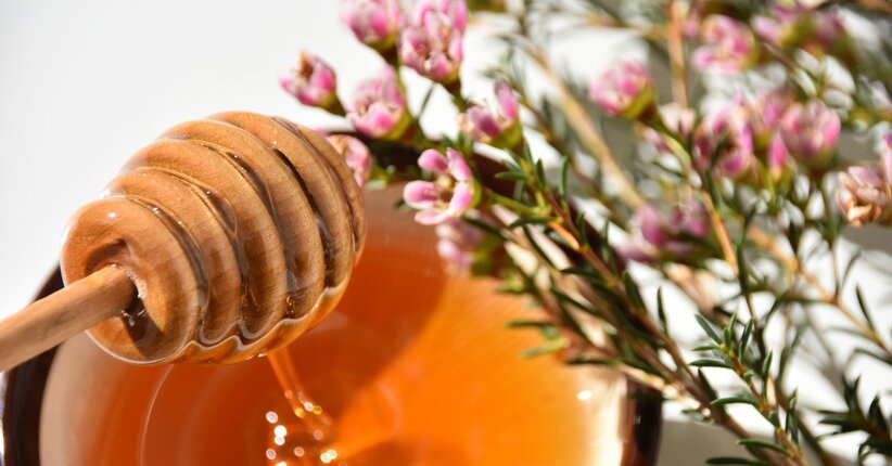 Gli straordinari benefici del miele di Manuka