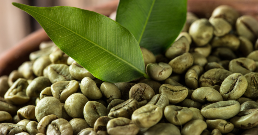 I benefici del Caffè Verde