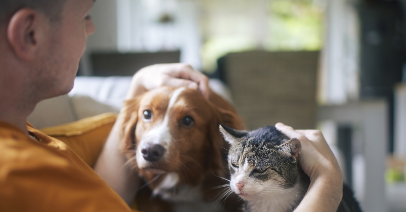 I fiori australiani per cani e gatti