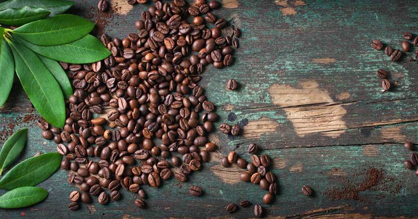 Il caffè biologico rispetta l'ambiente