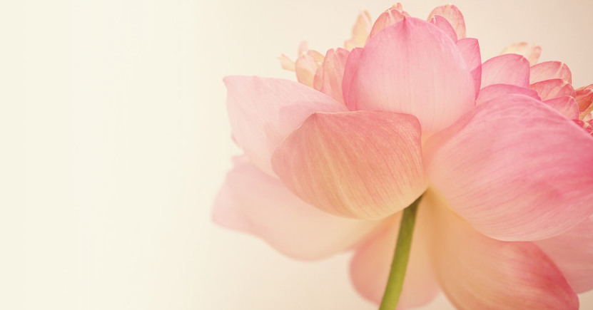 La vita spirituale, l'anima, l'amore divino, la realtà del Cosmo