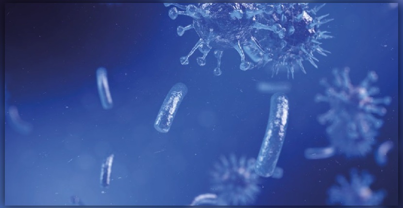 Microbiota e sistema immunitario