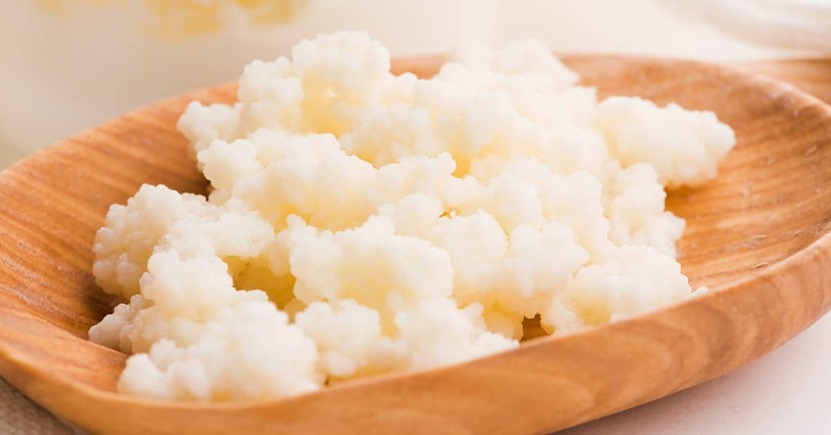 Nozioni di base sulla fermentazione: quando usare uno starter?