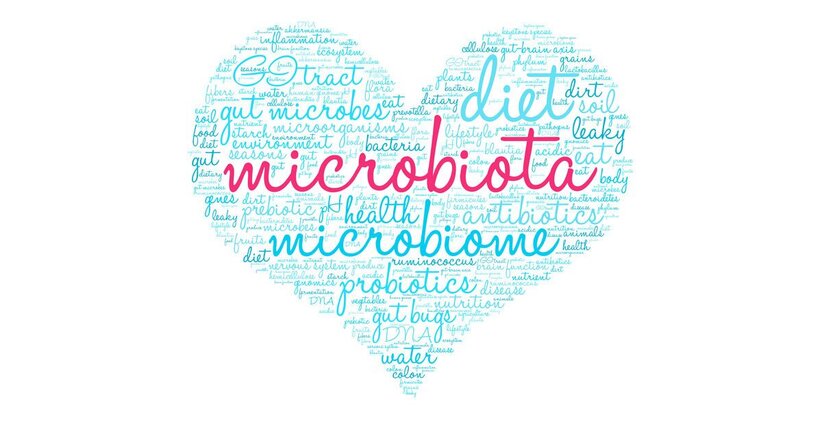Nutri il tuo microbiota