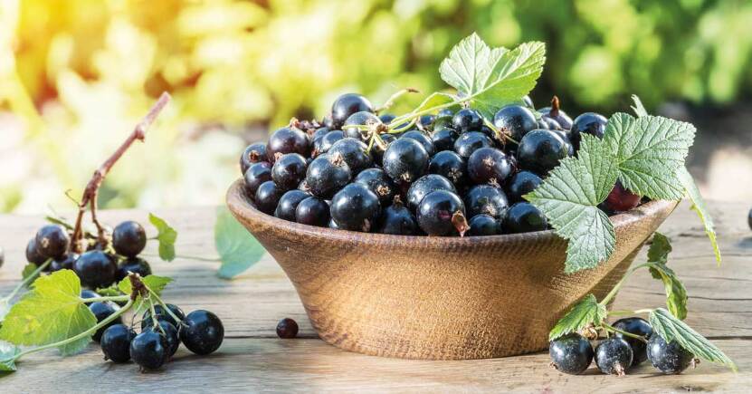 Articolazioni e infiammazione: i rimedi per il dolore senza gli effetti collaterali dei farmaci