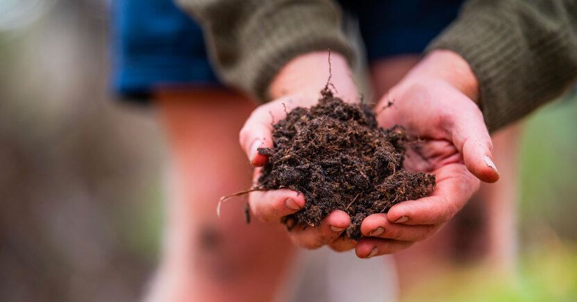 Rigenerare  l’Agricoltura