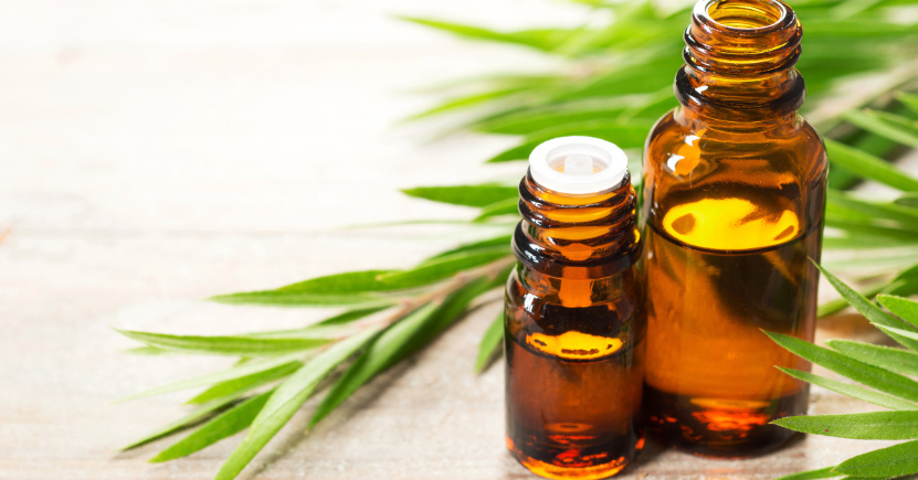 Tea tree oil: uso e benefici