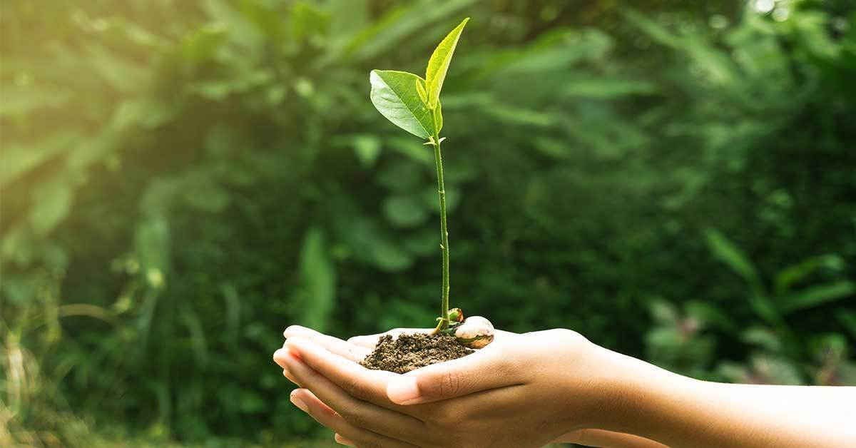 Madre Terra | Uomini e Trasporti