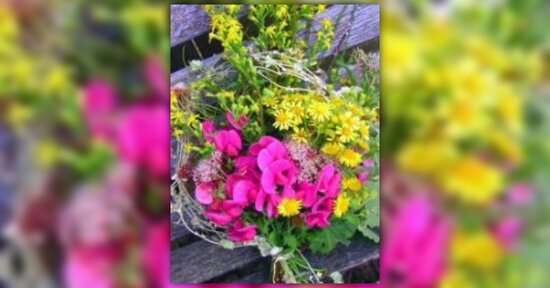 10 erbe e fiori per alleviare il mal di testa
