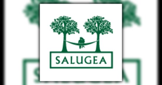 Conosciamo meglio Salugea