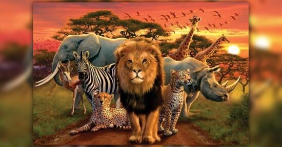 Gli animali nel Tempo dell'Uno