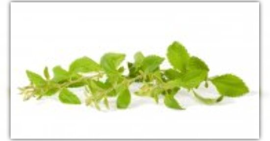 A proposito di Stevia