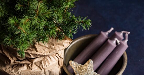 Abete Bianco e Pino Silvestre per il mese di dicembre