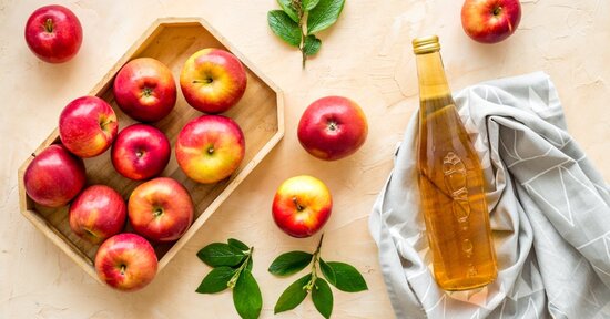 Aceti e fermentazione acetica
